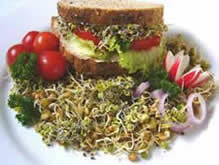 Sprouts